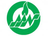 American Academy of Nursing